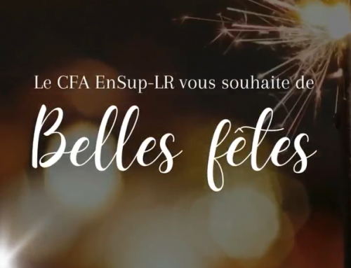 ✨ Le CFA EnSup-LR vous souhaite de merveilleuses fêtes de fin d’année🎄✨