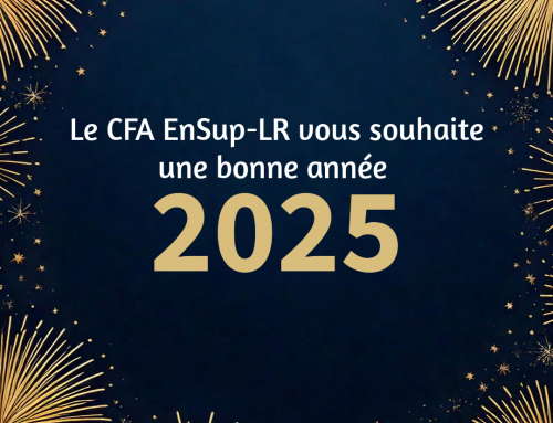 ✨ Le CFA EnSup-LR vous souhaite une merveilleuse année 2025 ✨